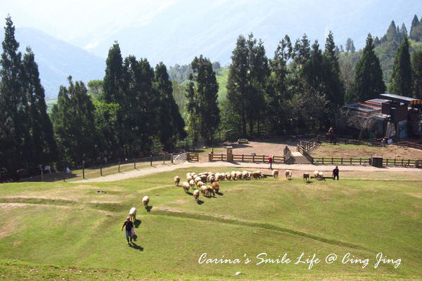 IMG_9129.JPG IMG_9129.JPG