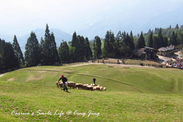 IMG_9130.JPG IMG_9130.JPG