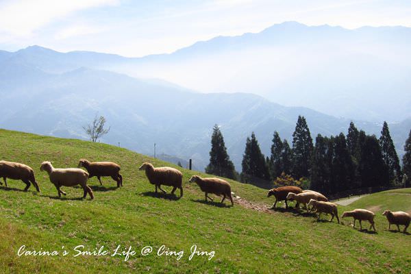 IMG_9132.JPG IMG_9132.JPG