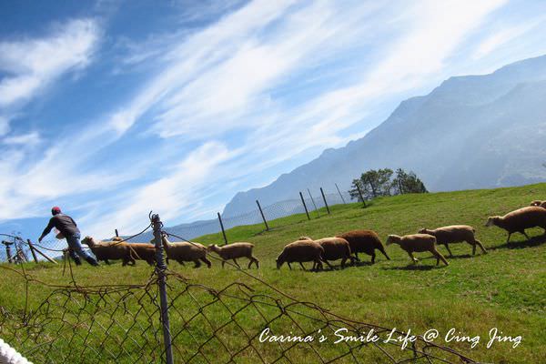 IMG_9134.JPG IMG_9134.JPG