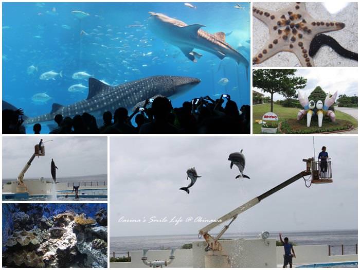 ▌日本沖繩景點 ▌美麗海水族館。漫遊室內最大水族箱/黑潮之海。近看鯨鯊/海豚表演