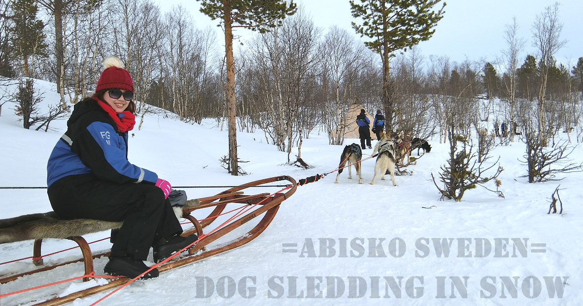 瑞典阿比斯庫景點｜預約『Lapland Trip北極秘境極光之旅』體驗狗拉雪橇穿梭在Abisko極地森林裡的快感(內有影片)